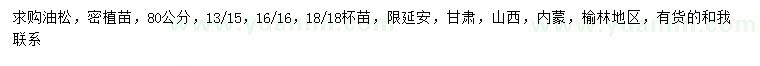 求購80公分油松
