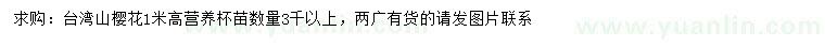 求購(gòu)高1米臺(tái)灣山櫻花