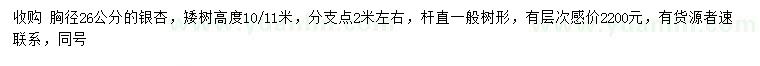 求購(gòu)胸徑26公分銀杏