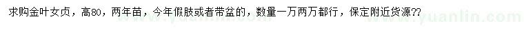 求購高80公分金葉女貞