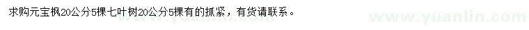 求購20公分元寶楓、七葉樹