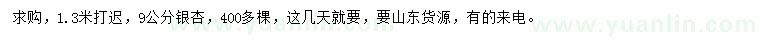 求購9公分銀杏