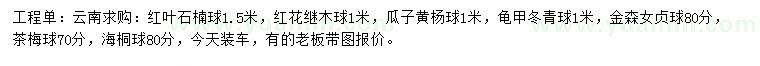 求購紅葉石楠球、紅花繼木球、瓜子黃楊球等