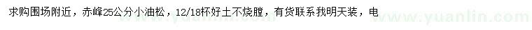 求購25公分油松