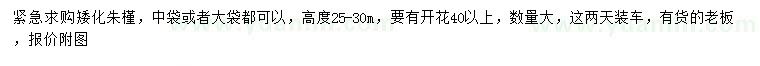 求購高度25-30公分朱槿