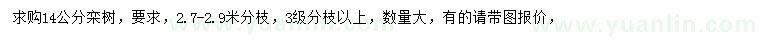 求購14公分欒樹