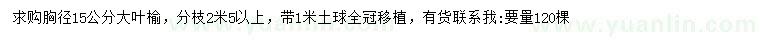 求購胸徑15公分大葉榆