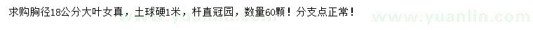 求購(gòu)胸徑18公分大葉女貞