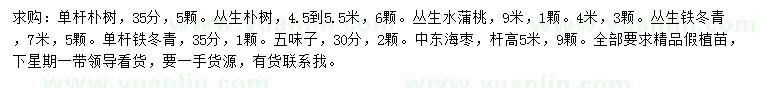 求購(gòu)樸樹、叢生樸樹、叢生水蒲桃等