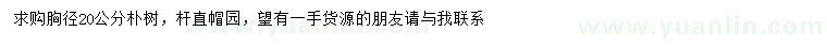 求購(gòu)胸徑20公分樸樹