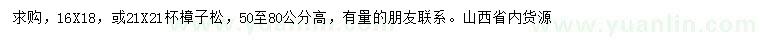 求購高50-80公分樟子松