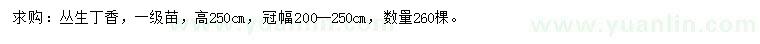 求購冠幅200-250公分叢生丁香