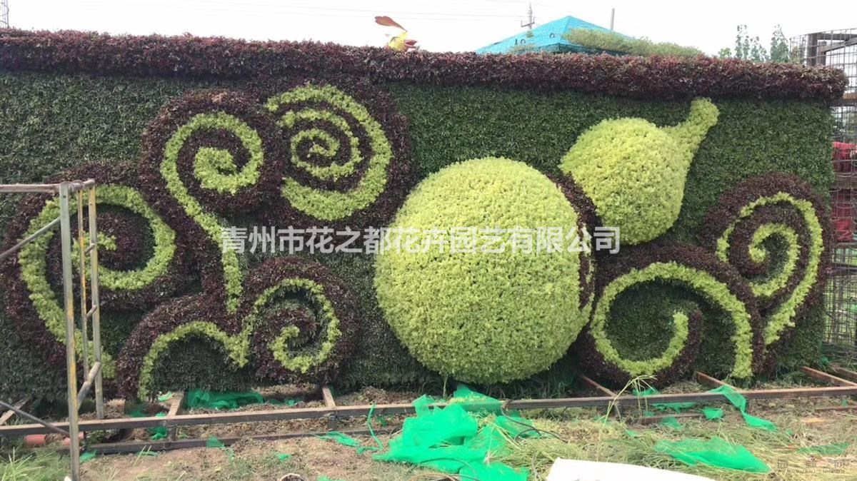 五色草造型綠雕