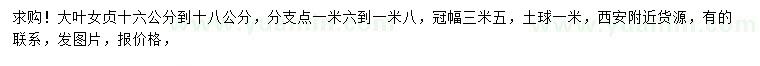 求購16-18公分大葉女貞