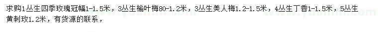 求購叢生四季玫瑰、叢生榆葉梅、叢生美人梅等