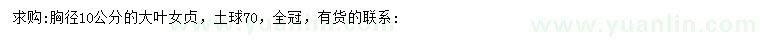 求購胸徑10公分大葉女貞