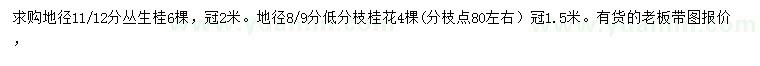 求購地徑11、12公分叢生桂、地徑8、9公分桂花