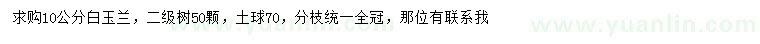 求購(gòu)10公分白玉蘭