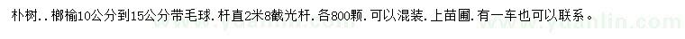 求購10-15公分樸樹、榔榆