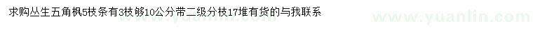 求購叢生五角楓