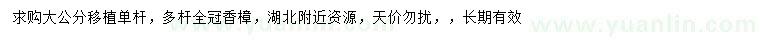 求購單桿、多桿香樟