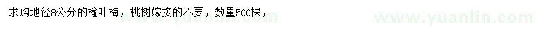 求購地徑8公分榆葉梅