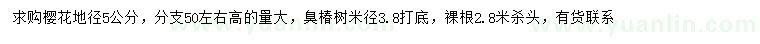 求購地徑5公分櫻花、米徑3.8公分打底臭椿