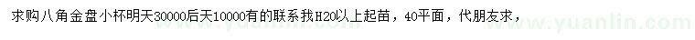 求購高20公分以上八角金盤