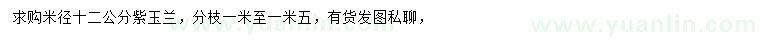 求購米徑12公分紫玉蘭