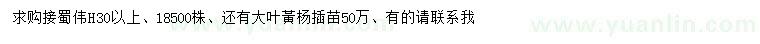 求購高30公分以上蜀檜、大葉黃楊苗