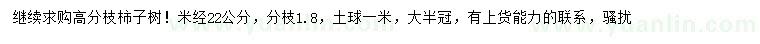 求購米徑22公分柿子樹