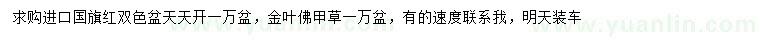 求購國旗紅、天天開、金葉佛甲草