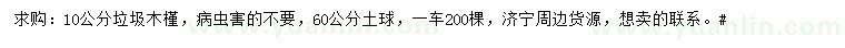 求購10公分木槿