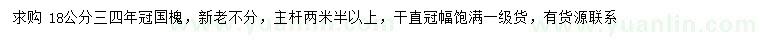 求購18公分國槐