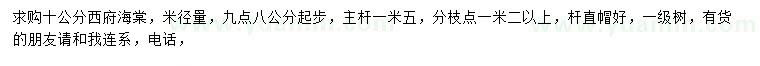 求購米徑9.8公分起步10公分西府海棠