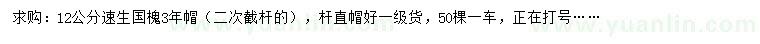 求購12公分速生國槐