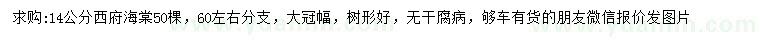 求購14公分西府海棠