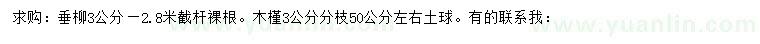 求購(gòu)3公分垂柳、木槿