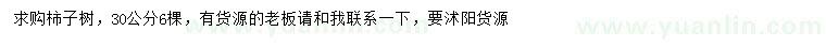 求購30公分柿子樹