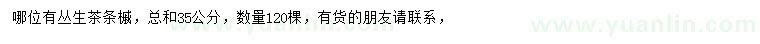 求購35公分叢生茶條槭