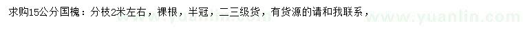 求購15公分國槐
