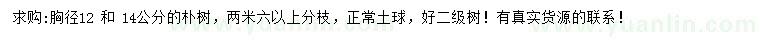 求購胸徑12 、14公分樸樹