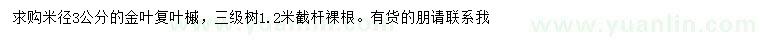 求購米徑3公分金葉復葉槭