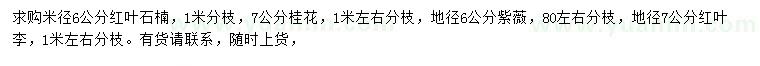 求購紅葉石楠、桂花、紫薇等