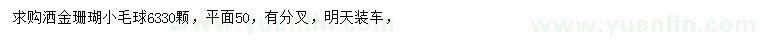 求購灑金珊瑚小毛球