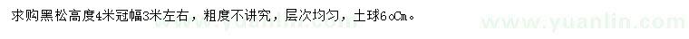 求購(gòu)高4米黑松