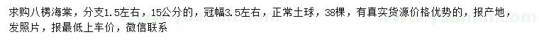 求購(gòu)15公分八楞海棠
