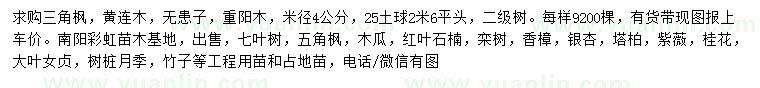 求購(gòu)三角楓、黃連木、無(wú)患子等