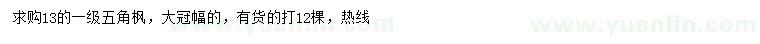 求購13公分五角楓