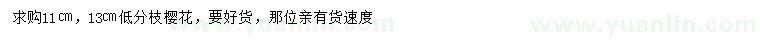 求購11、13公分櫻花